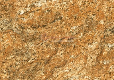  Gạch Ốp Lát APODIO 61283047